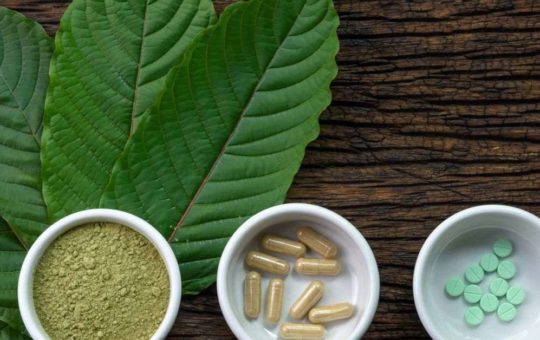 3 Exciting Kratom Strain That You Might Wish To Try