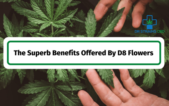 The Superb Benefits Offered By D8 Flowers